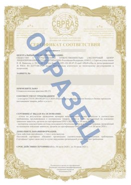 Образец Сертификат СТО 01.064.00220722.2-2020 Нижняя Тура Сертификат СТО 01.064.00220722.2-2020 